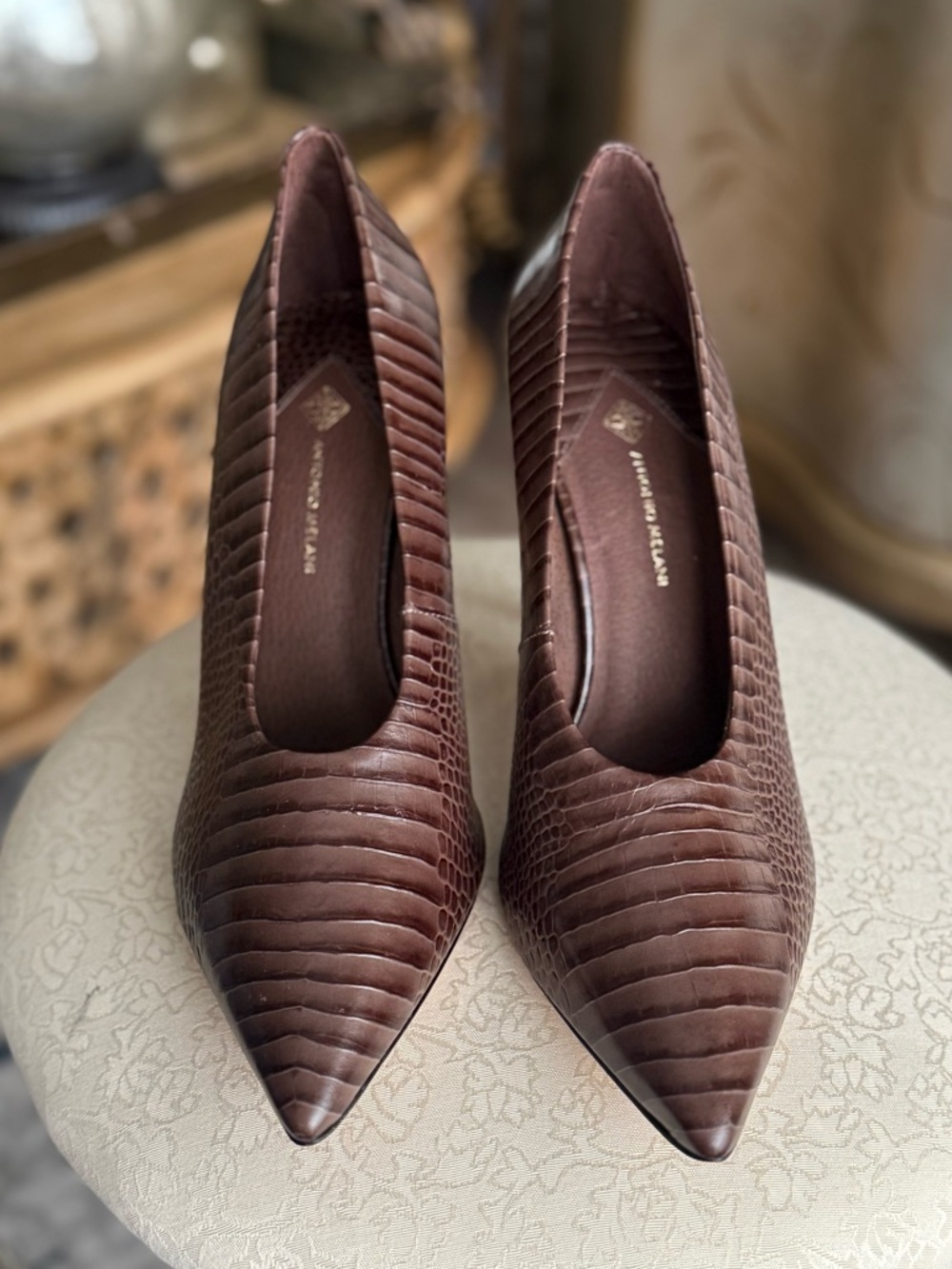 Leather Brown Croc-Embossed Stiletto Pumps
